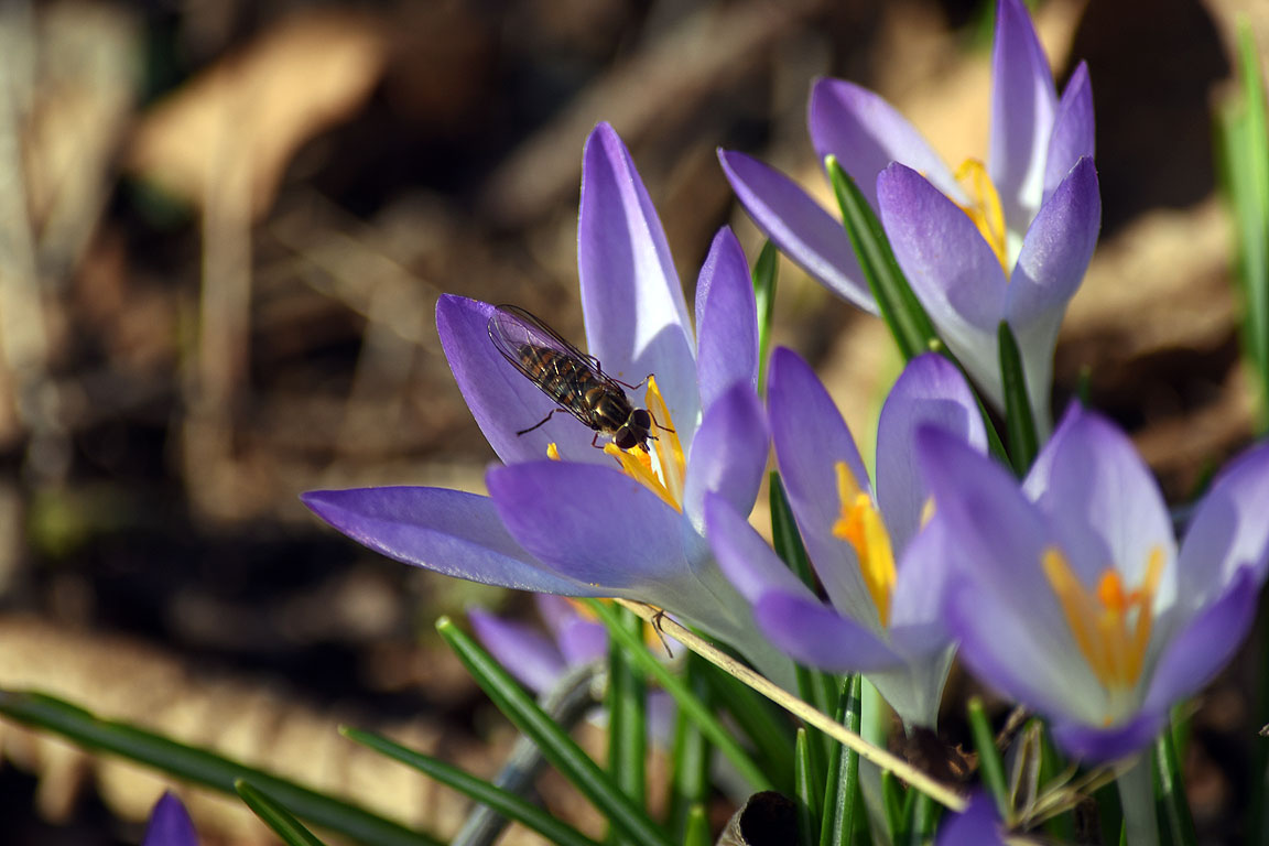 46cd682b-0605-4e53-88c0-25327d646ab8