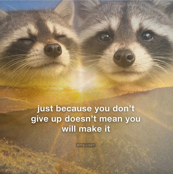 Keep-trying-though-were-the-rats-that-go