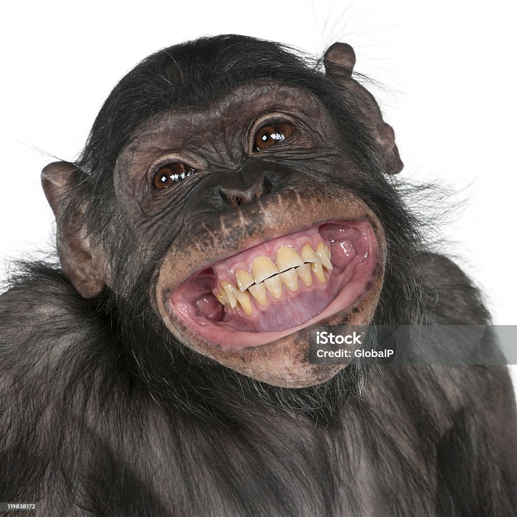 istockphoto-119838172-1024x1024