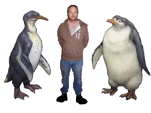 Penguins-Giant-me