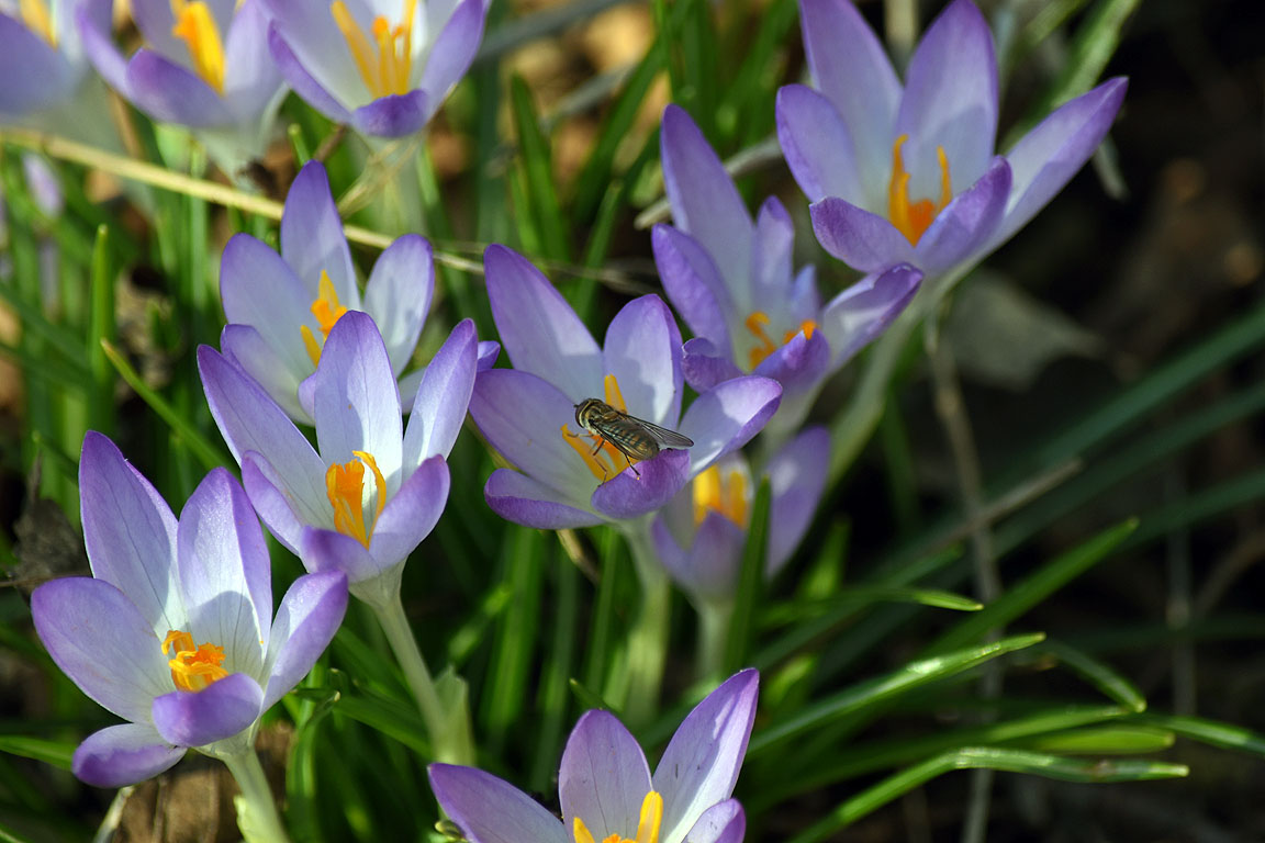 b7894c31-e48d-4044-87f0-e7584dc58bcf