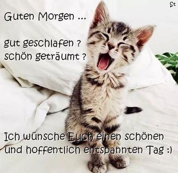 Guten-Morgen-Bilder-Mit-Spruchen-1