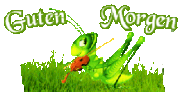 rVh9GcuKDWbE