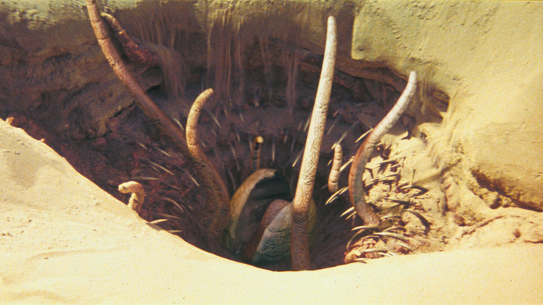 sarlacc