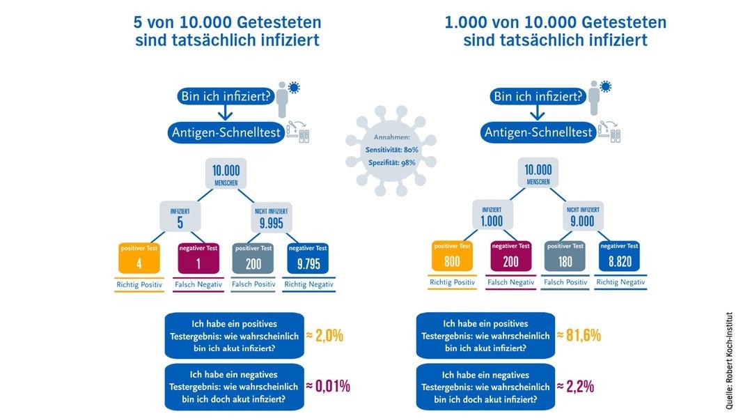 antigentests100 v-contentxl