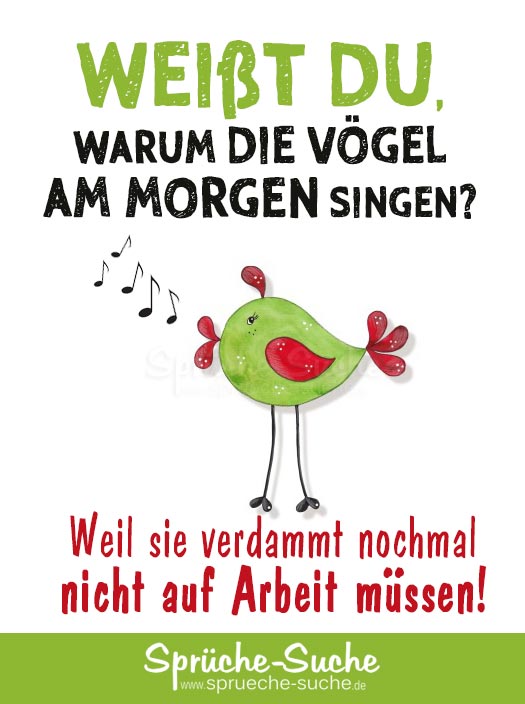 lustiger-spruch-warum-die-voegel-am-morg