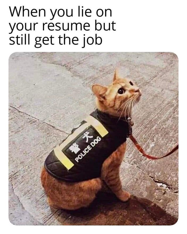 he-still-got-the-job-v0-akz45t4ssgtf1