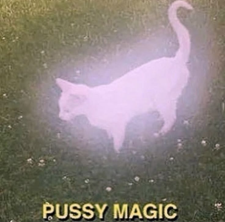 e6c5be7db79abe670d96509a2f0f24eb