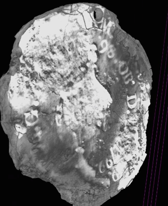 Screenshot 2026-03-05 003112