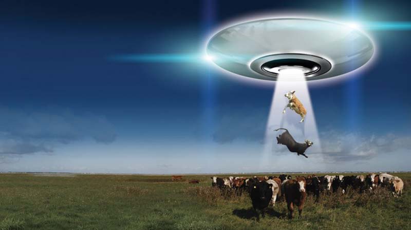 ufo-cow-abductione
