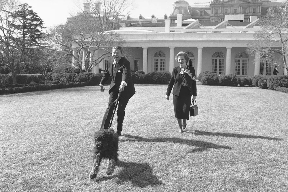 reag thatch - Copy.webp