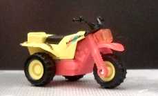 SAM 1981