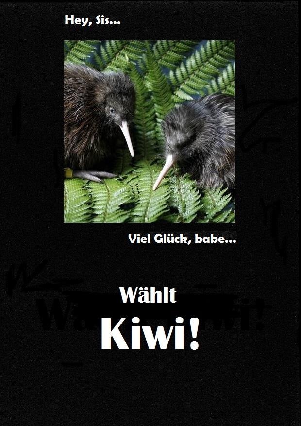 whlt kiwi