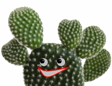 xMein kleiner gruener Kaktus