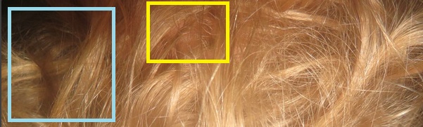 Hair zoom 180 turn