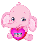 PUVJES9Q8NPZ