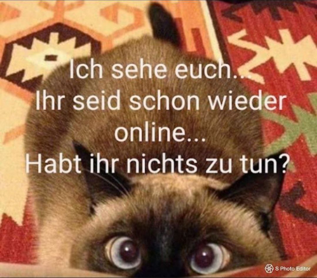 schonwiederonline
