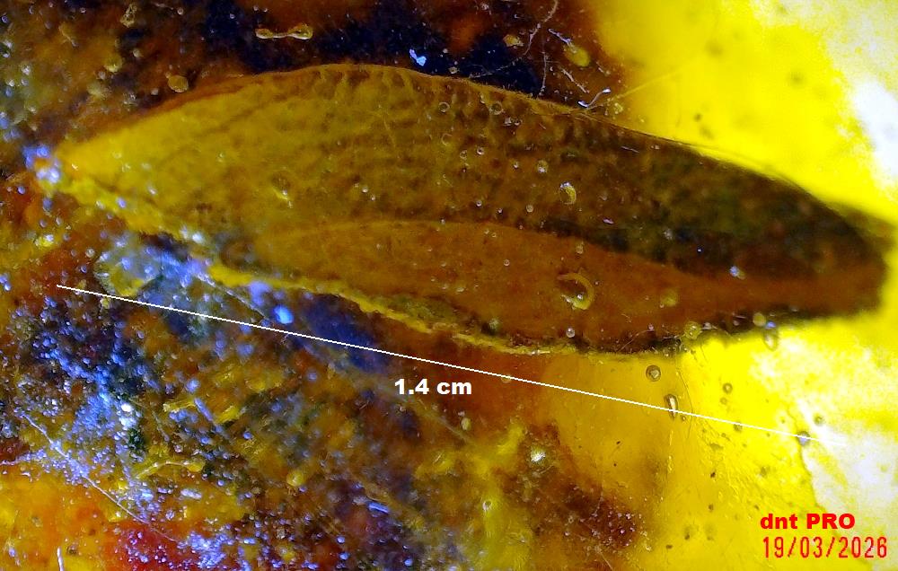 2026 0319 203108 001