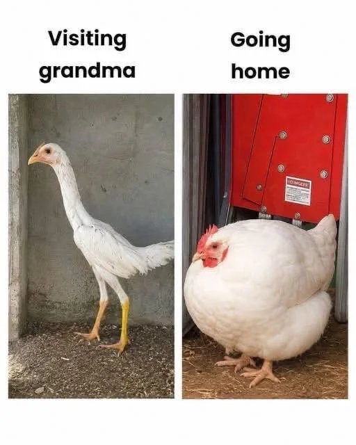 1000034784