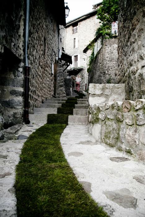nature-street-art-grass-carpet-2