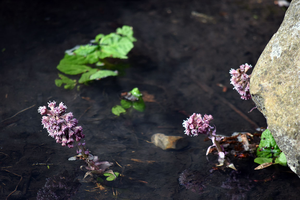 ba511005-53c7-40ea-a3ee-864ee502ca33