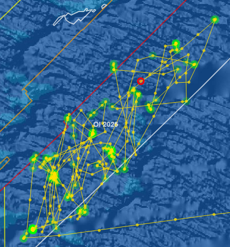 Screenshot 2026-01-11 224450