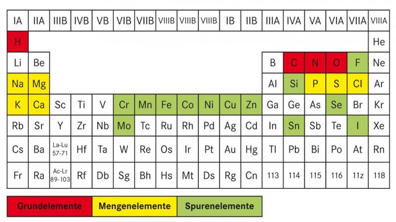 D1310 Grafik Periodensystem-800x448