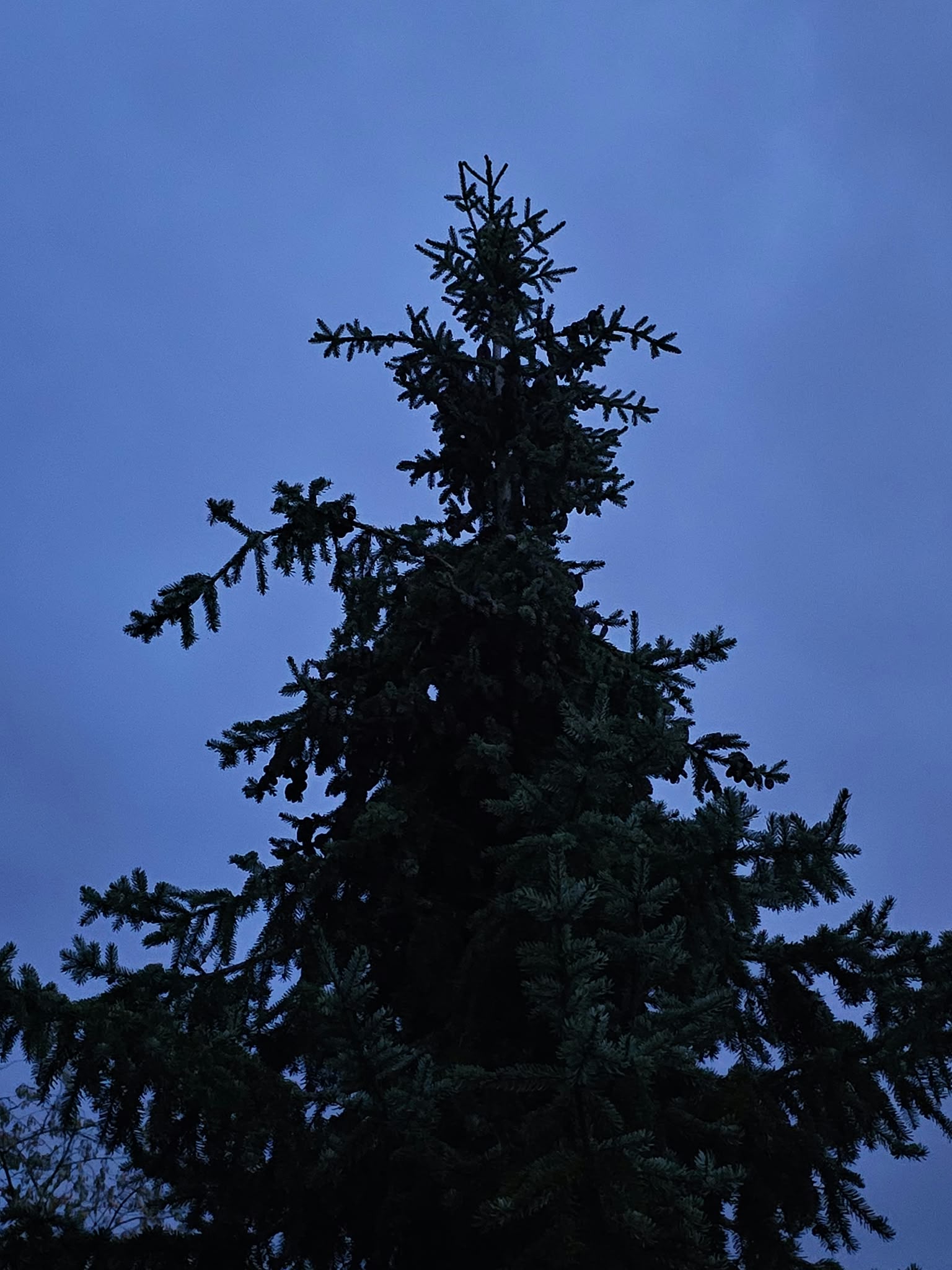IMG-20260930-WA0035