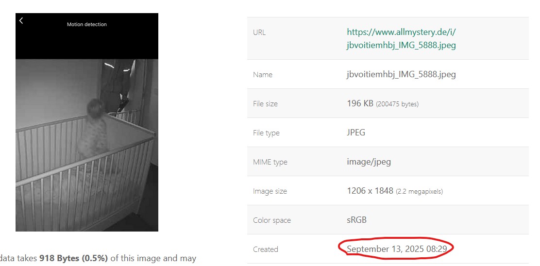Screenshot 2025-09-29 135438