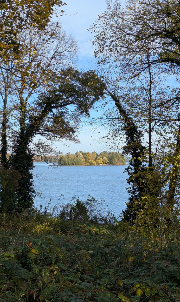 1b016f32-9ebf-4851-9760-a774a983b5ec