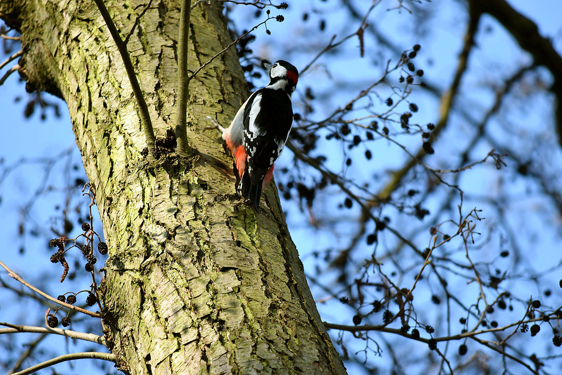 0e44171a-6aa7-4718-8b89-a38206009382