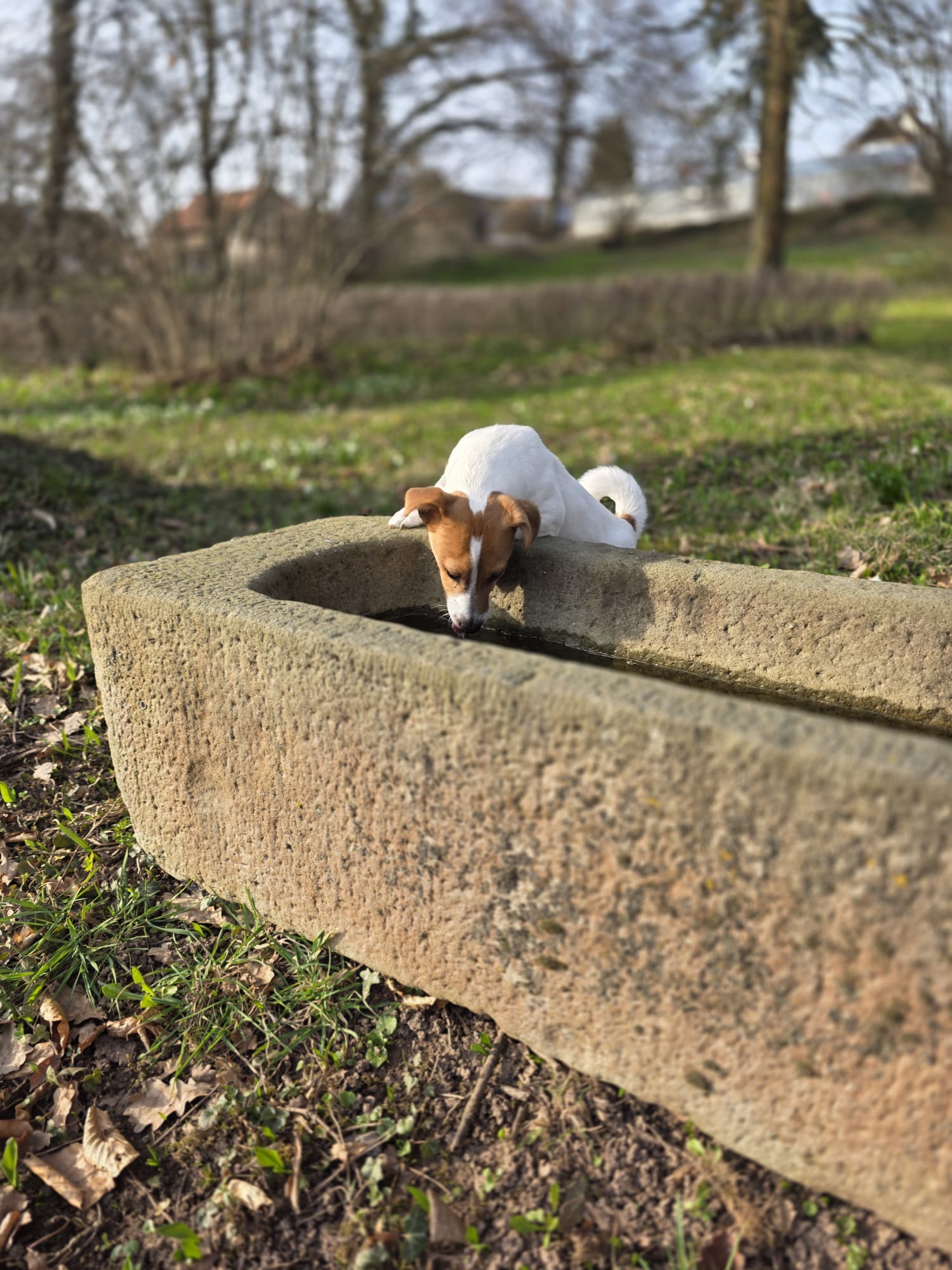 WhatsApp Image 2026-03-08 at 16.21.47 1