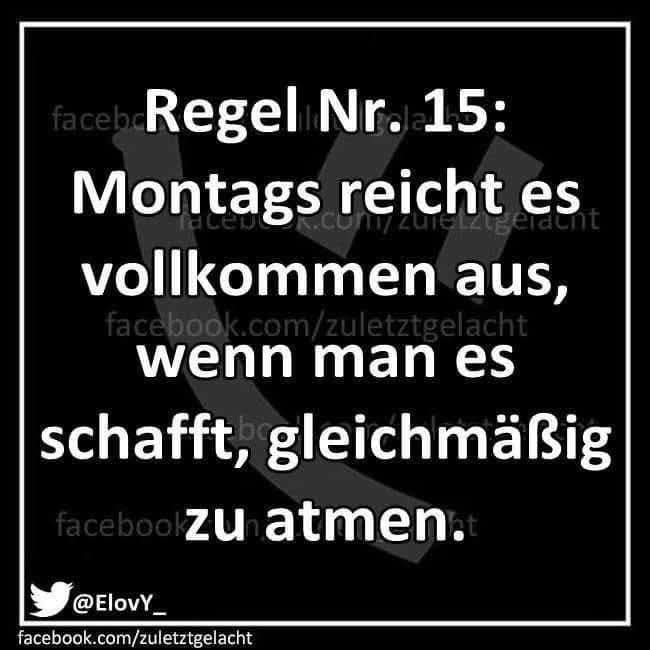 FB IMG 1782137252904