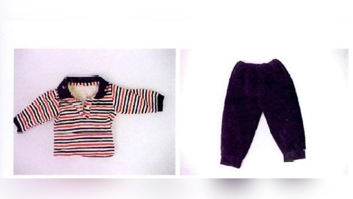 241793294 1709299456 v16 9 1200.webp