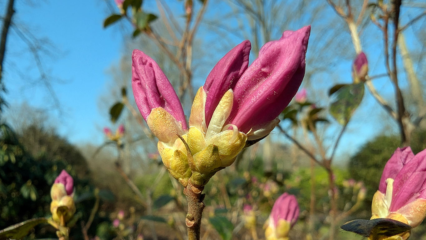 6c89c82c-6b1c-4ac5-8136-08400dd91075