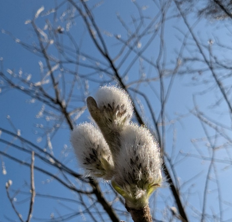 3e8d526a-4095-4a64-96ba-9c1868643fbc