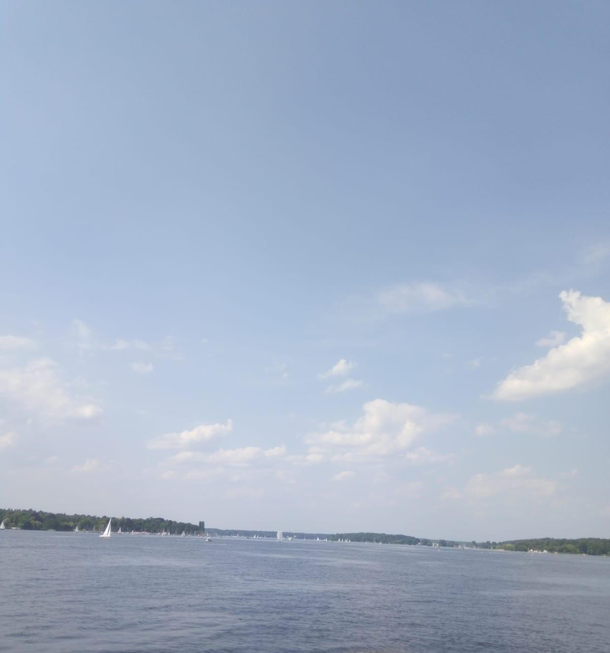 IMG-20210724-WA00302