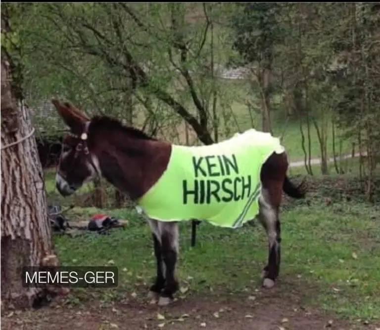 Kein Hirsch - Copy