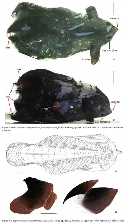 images 2
