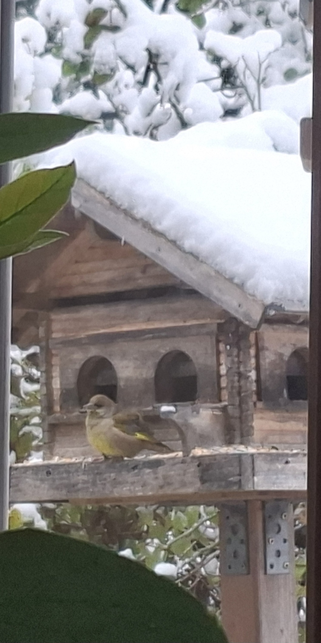 Screenshot 20251123 174949 Gallery