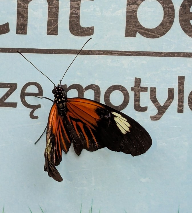 2eff94ad-be30-4ef6-8cae-95a261249aa9
