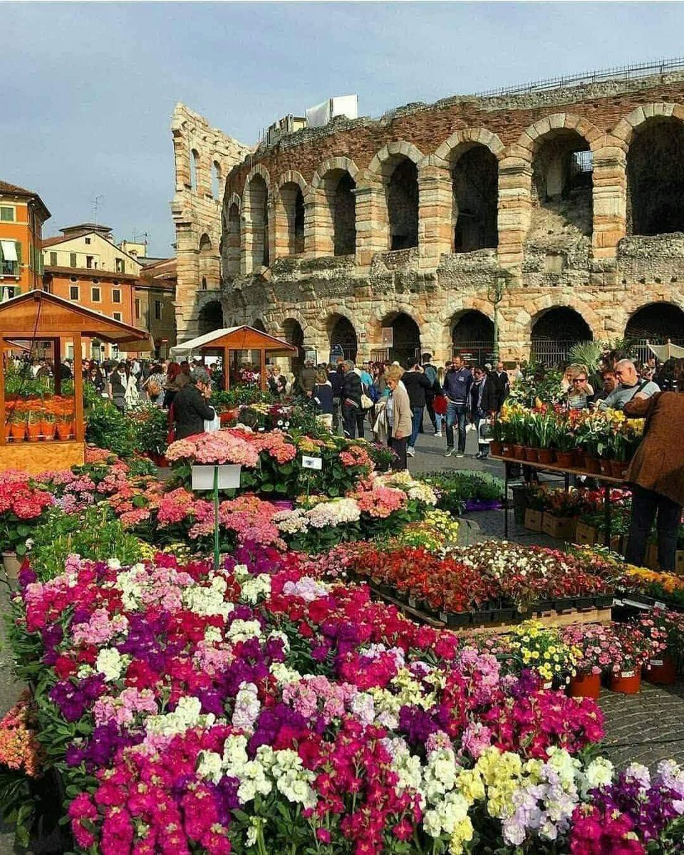 verona it - Copy