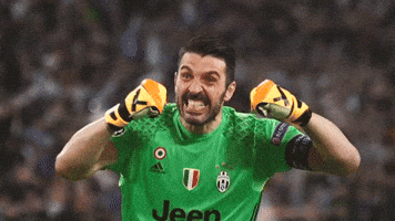 Buffon 1 - Copy