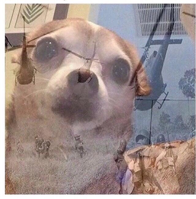 0dd