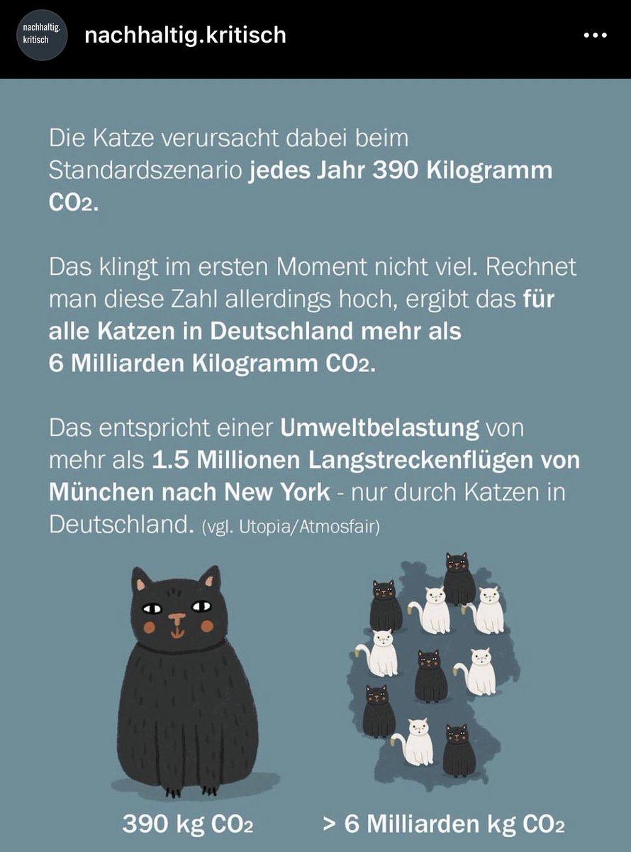 Katzen nachhaltig kritisch - Copy