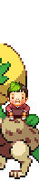 oie overlay