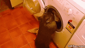 Wombat Waschmaschine - Copy