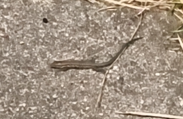 IMG 20260721 143325