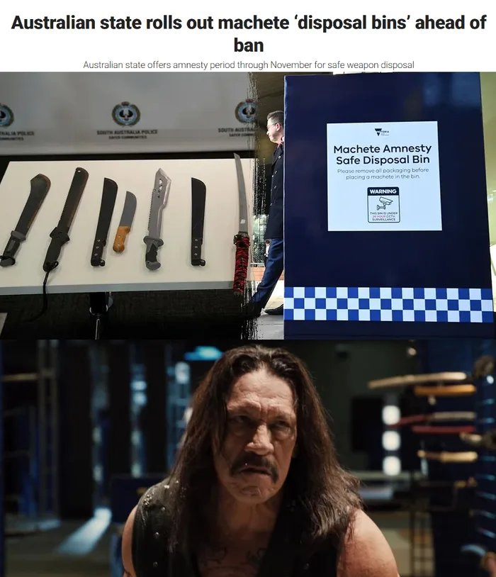 1000015386
