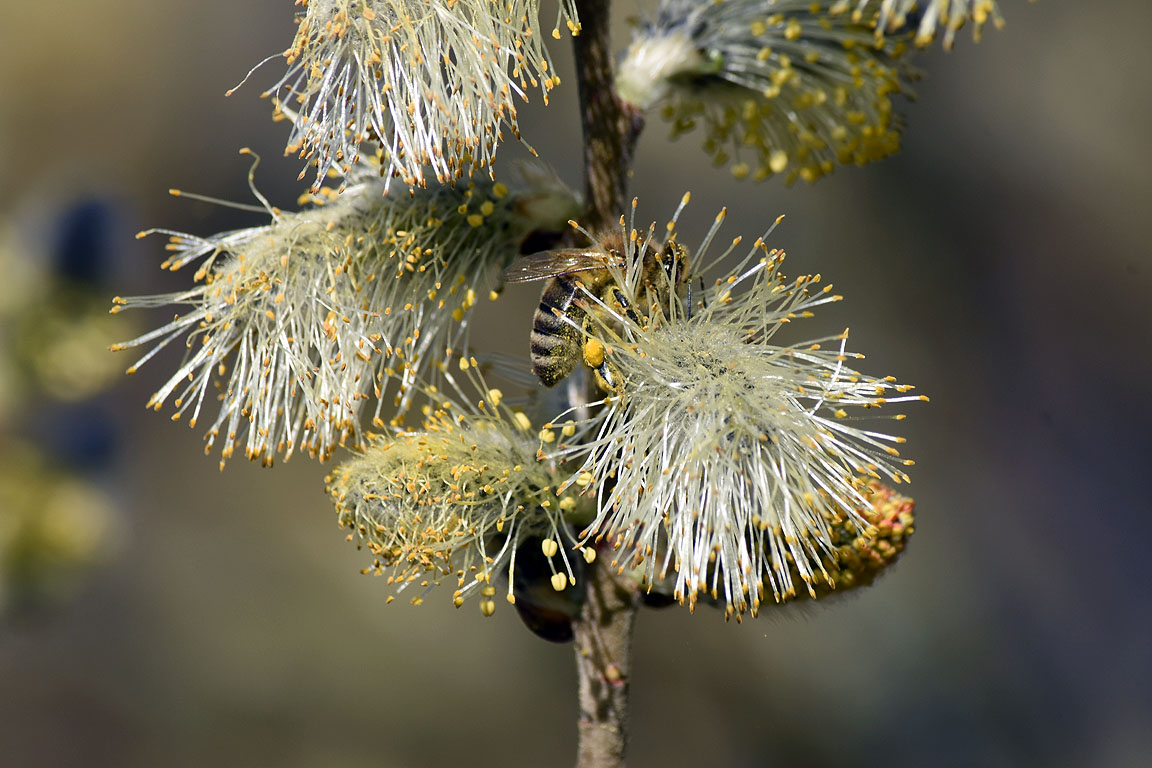 981cc70e-f805-45c7-b7e2-769e4e95dec1